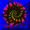 broken spiral_sample.jpg (59599 bytes)